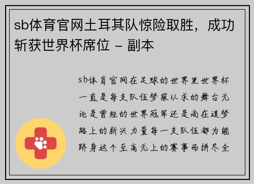 sb体育官网土耳其队惊险取胜，成功斩获世界杯席位 - 副本