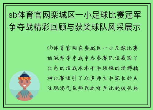 sb体育官网栾城区一小足球比赛冠军争夺战精彩回顾与获奖球队风采展示