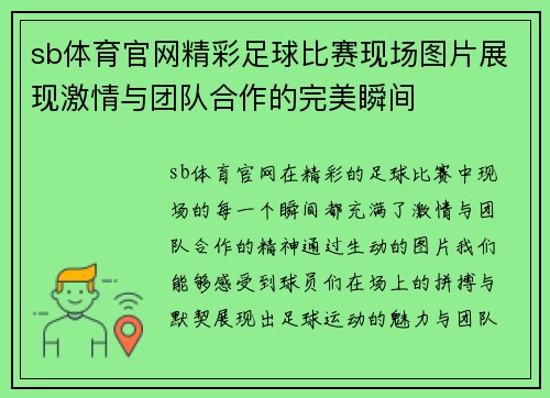 sb体育官网精彩足球比赛现场图片展现激情与团队合作的完美瞬间