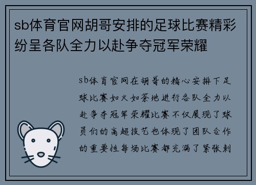 sb体育官网胡哥安排的足球比赛精彩纷呈各队全力以赴争夺冠军荣耀